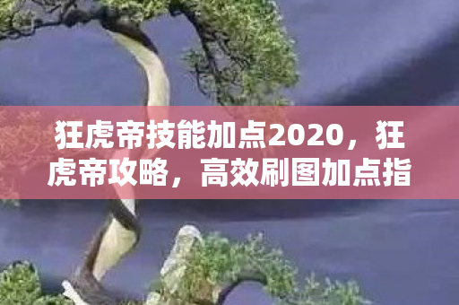 狂虎帝技能加点2020，狂虎帝攻略，高效刷图加点指南