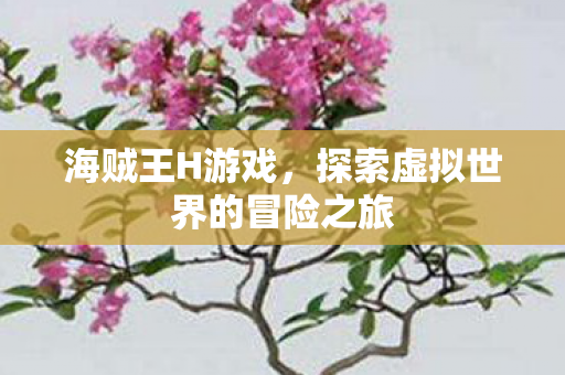 海贼王H游戏，探索虚拟世界的冒险之旅