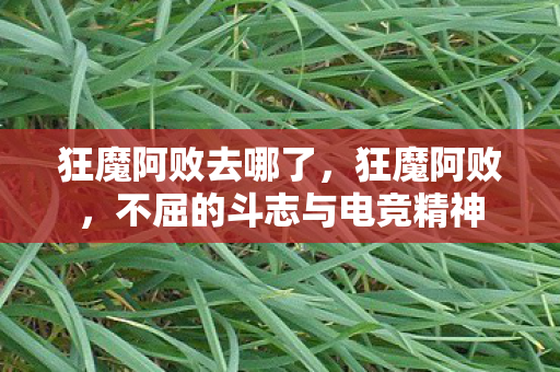 狂魔阿败去哪了，狂魔阿败，不屈的斗志与电竞精神