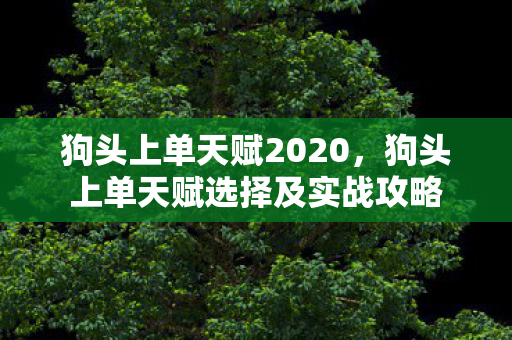 狗头上单天赋2020，狗头上单天赋选择及实战攻略