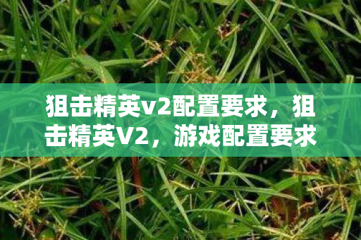 狙击精英v2配置要求，狙击精英V2，游戏配置要求详解