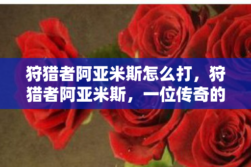 狩猎者阿亚米斯怎么打，狩猎者阿亚米斯，一位传奇的崛起