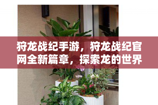 狩龙战纪手游，狩龙战纪官网全新篇章，探索龙的世界