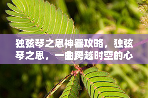 独弦琴之思神器攻略，独弦琴之思，一曲跨越时空的心灵对话