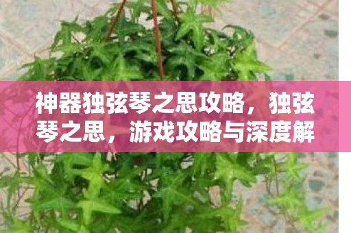 神器独弦琴之思攻略，独弦琴之思，游戏攻略与深度解析