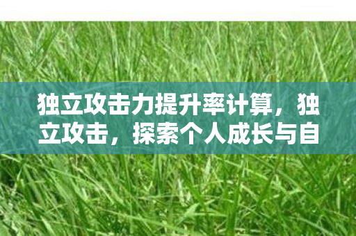 独立攻击力提升率计算，独立攻击，探索个人成长与自我赋能的新纪元