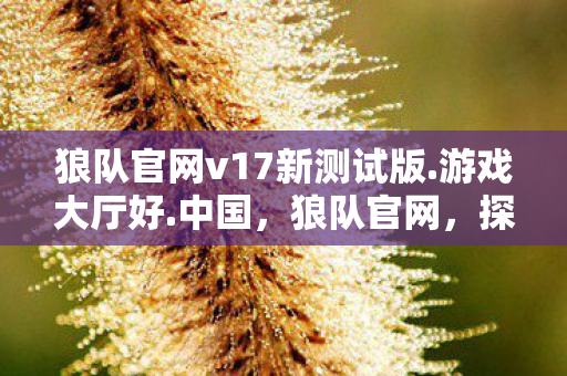 狼队官网v17新测试版.游戏大厅好.中国，狼队官网，探索英超劲旅的官方网站