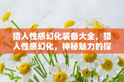 猎人性感幻化装备大全，猎人性感幻化，神秘魅力的探索之旅