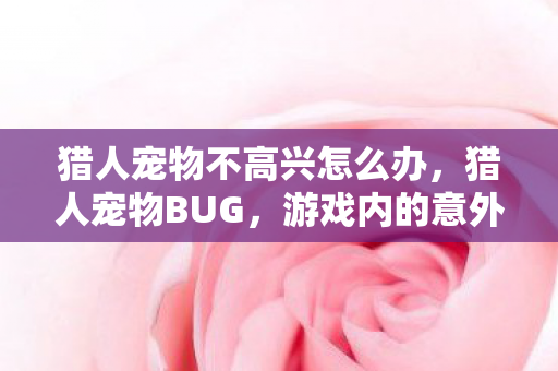 猎人宠物不高兴怎么办，猎人宠物BUG，游戏内的意外惊喜与挑战