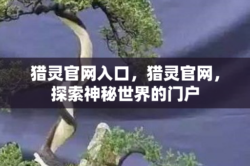 猎灵官网入口，猎灵官网，探索神秘世界的门户