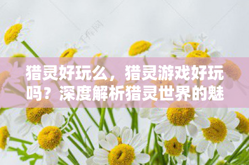 猎灵好玩么，猎灵游戏好玩吗？深度解析猎灵世界的魅力所在