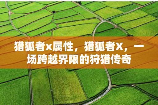 猎狐者x属性，猎狐者X，一场跨越界限的狩猎传奇