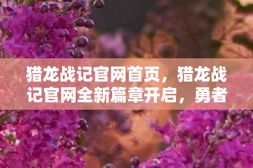 猎龙战记官网首页，猎龙战记官网全新篇章开启，勇者集结，共赴荣耀征途！