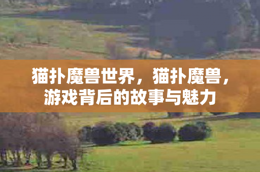 猫扑魔兽世界，猫扑魔兽，游戏背后的故事与魅力