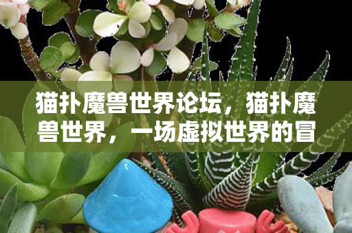 猫扑魔兽世界论坛，猫扑魔兽世界，一场虚拟世界的冒险之旅