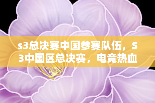 s3总决赛中国参赛队伍，S3中国区总决赛，电竞热血，梦想启航
