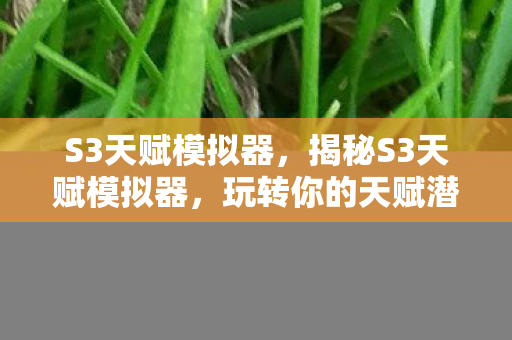 S3天赋模拟器，揭秘S3天赋模拟器，玩转你的天赋潜能