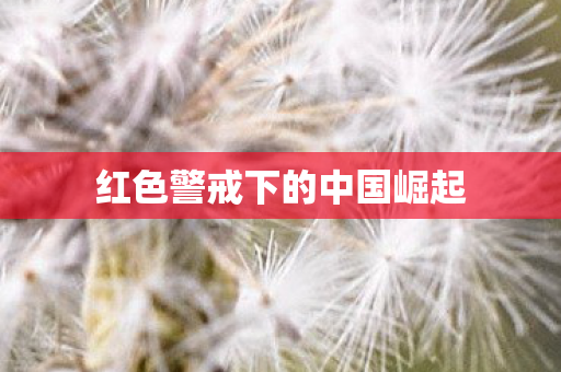 红色警戒下的中国崛起