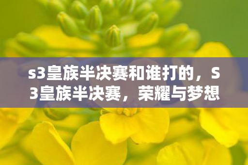 s3皇族半决赛和谁打的，S3皇族半决赛，荣耀与梦想的碰撞