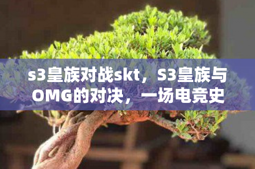 s3皇族对战skt，S3皇族与OMG的对决，一场电竞史诗的巅峰碰撞
