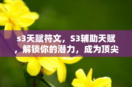 s3天赋符文，S3辅助天赋，解锁你的潜力，成为顶尖游戏辅助大师