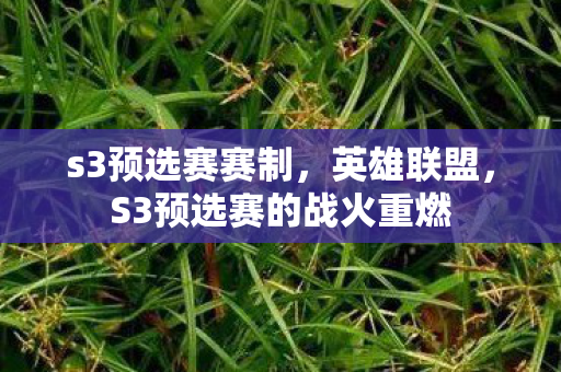 s3预选赛赛制，英雄联盟，S3预选赛的战火重燃
