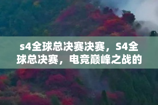s4全球总决赛决赛，S4全球总决赛，电竞巅峰之战的热血瞬间