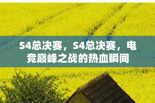 S4总决赛，S4总决赛，电竞巅峰之战的热血瞬间