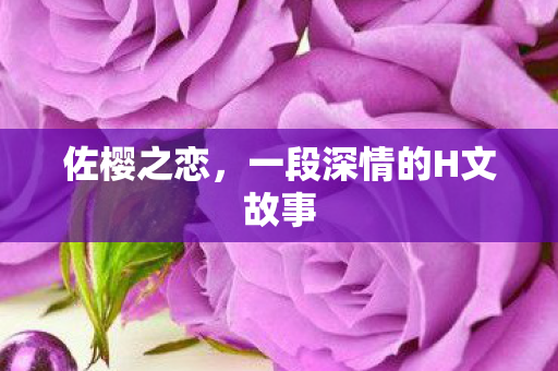 佐樱之恋,一段深情的H文故事 佐樱之恋,一段深情的H文故事