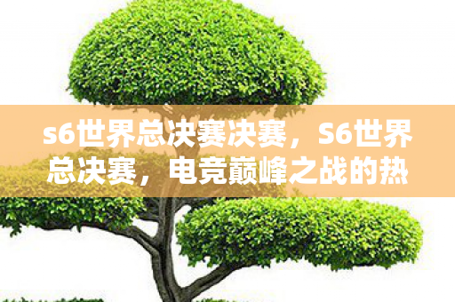 s6世界总决赛决赛，S6世界总决赛，电竞巅峰之战的热血回忆