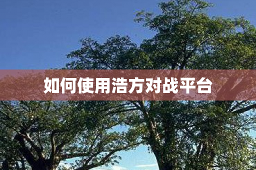 如何使用浩方对战平台