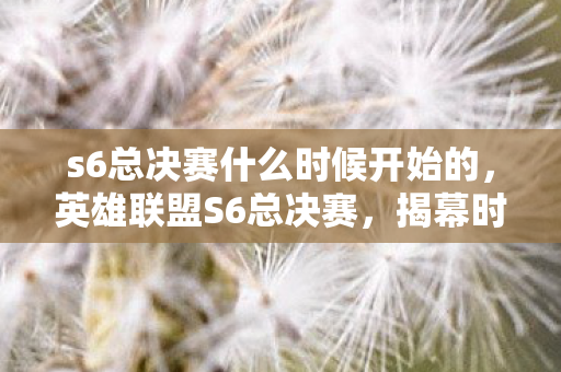 s6总决赛什么时候开始的，英雄联盟S6总决赛，揭幕时间、赛程安排及精彩看点