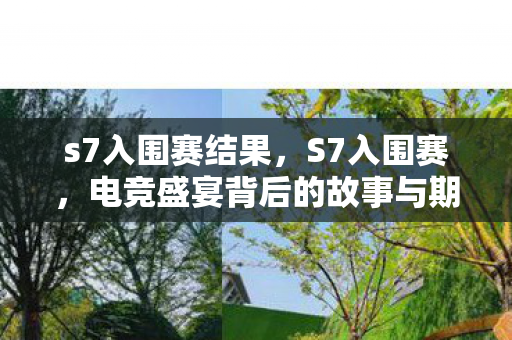 s7入围赛结果，S7入围赛，电竞盛宴背后的故事与期待