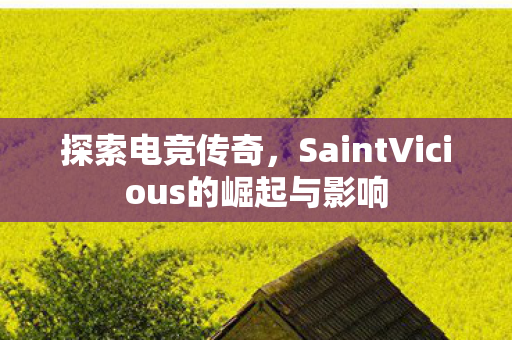探索电竞传奇，SaintVicious的崛起与影响