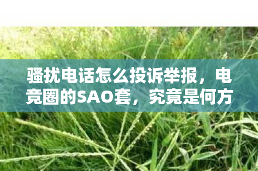 骚扰电话怎么投诉举报，电竞圈的SAO套，究竟是何方神圣？