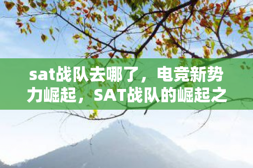 sat战队去哪了，电竞新势力崛起，SAT战队的崛起之路