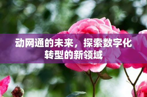 动网通的未来，探索数字化转型的新领域