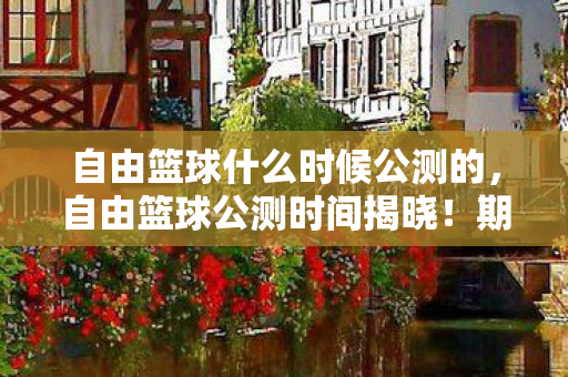 自由篮球什么时候公测的，自由篮球公测时间揭晓！期待已久，热血篮球梦即将成真！
