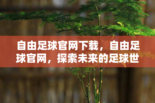 自由足球官网下载，自由足球官网，探索未来的足球世界