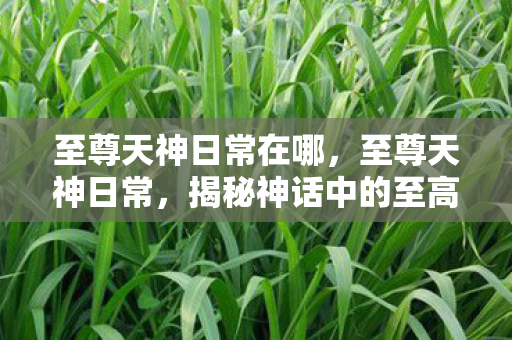 至尊天神日常在哪，至尊天神日常，揭秘神话中的至高存在