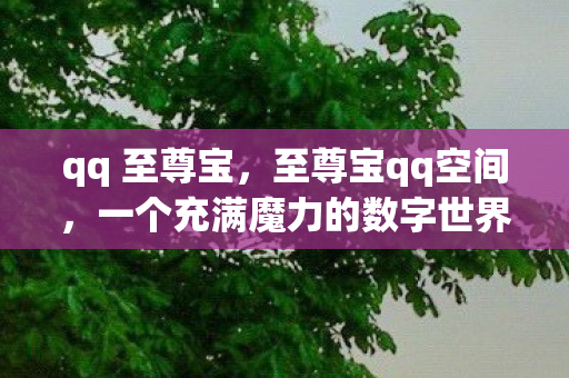 qq 至尊宝,至尊宝qq空间,一个充满魔力的数字世界 qq 至尊宝,至尊宝qq空间,一个充满魔力的数字世界
