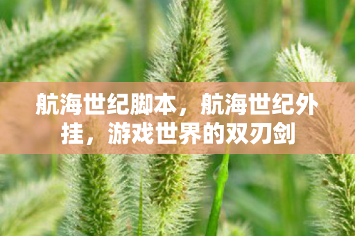 航海世纪脚本，航海世纪外挂，游戏世界的双刃剑