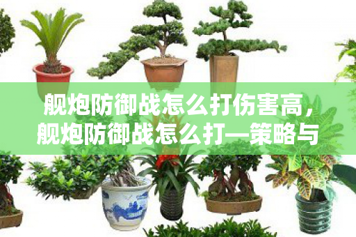 舰炮防御战怎么打伤害高，舰炮防御战怎么打—策略与技巧详解