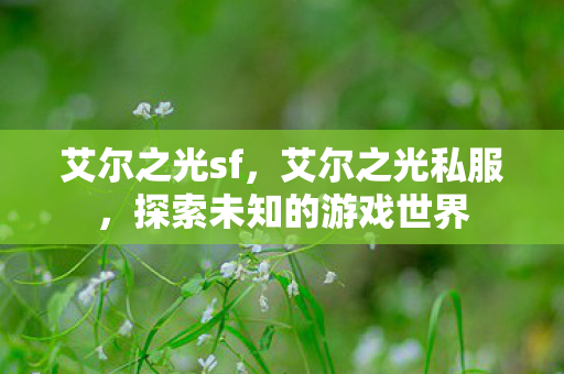 艾尔之光sf，艾尔之光私服，探索未知的游戏世界