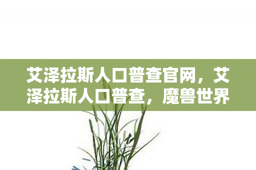 艾泽拉斯人口普查官网，艾泽拉斯人口普查，魔兽世界人口数据深度解析