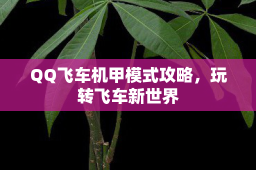 QQ飞车机甲模式攻略,玩转飞车新世界 QQ飞车机甲模式攻略,玩转飞车新世界
