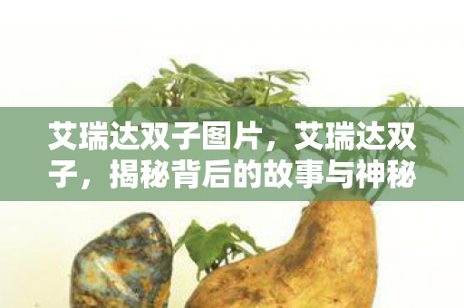 艾瑞达双子图片，艾瑞达双子，揭秘背后的故事与神秘面纱