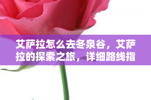 艾萨拉怎么去冬泉谷，艾萨拉的探索之旅，详细路线指南