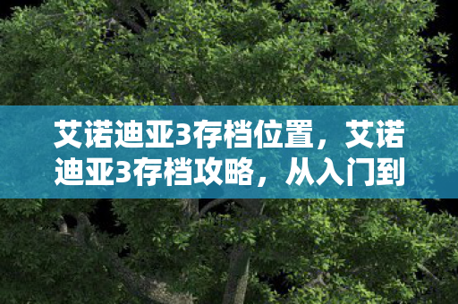 艾诺迪亚3存档位置，艾诺迪亚3存档攻略，从入门到精通