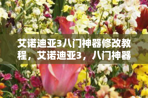 艾诺迪亚3八门神器修改教程，艾诺迪亚3，八门神器，游戏世界的无尽奥秘